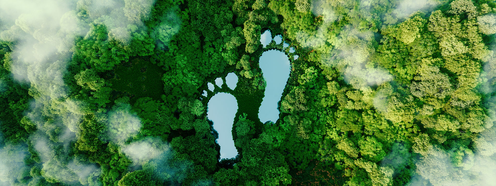 Fußabdrücke im grünen Wald